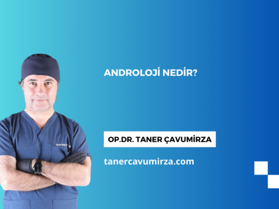 Androloji Nedir?