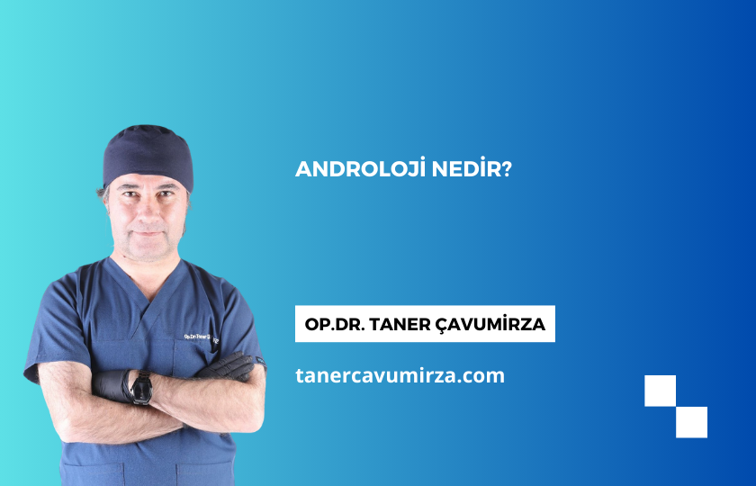 Androloji Nedir?