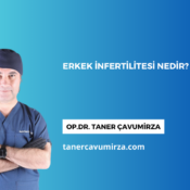 Erkek İnfertilitesi Nedir?