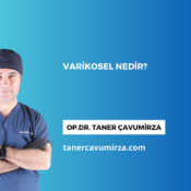 Varikosel Nedir?